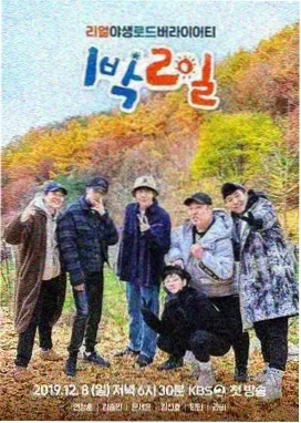 屋邨运动会 综艺